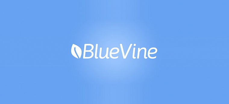 BlueVine Review 2023: Small Business Loans