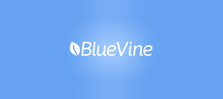 Picture of the word "Blue Vine," used for small business loans.
