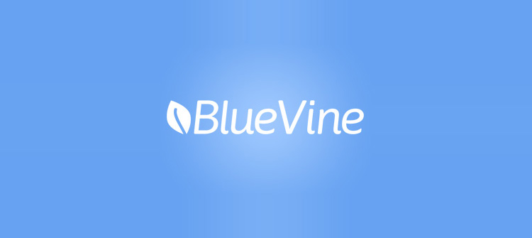 10+ Best Bluevine Alternatives 2021, Pricing, Review - Best Alternatives