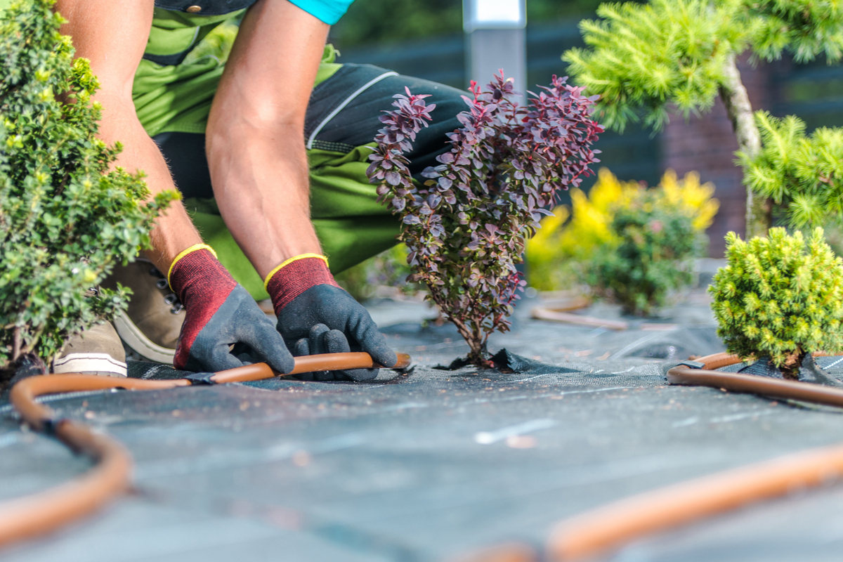 How To Start A Landscaping Business How Much It Will Cost
