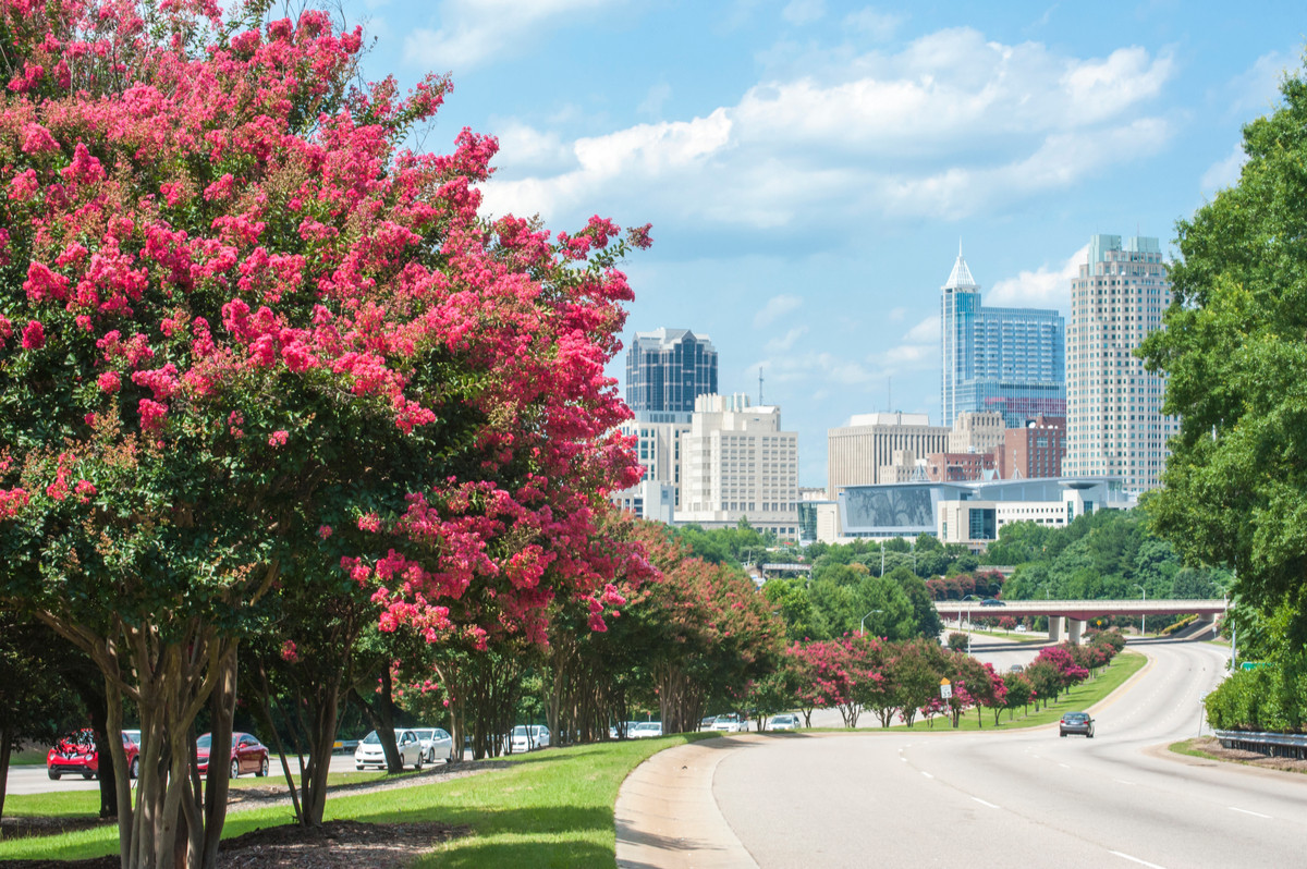 Raleigh skyline in North Carolina.